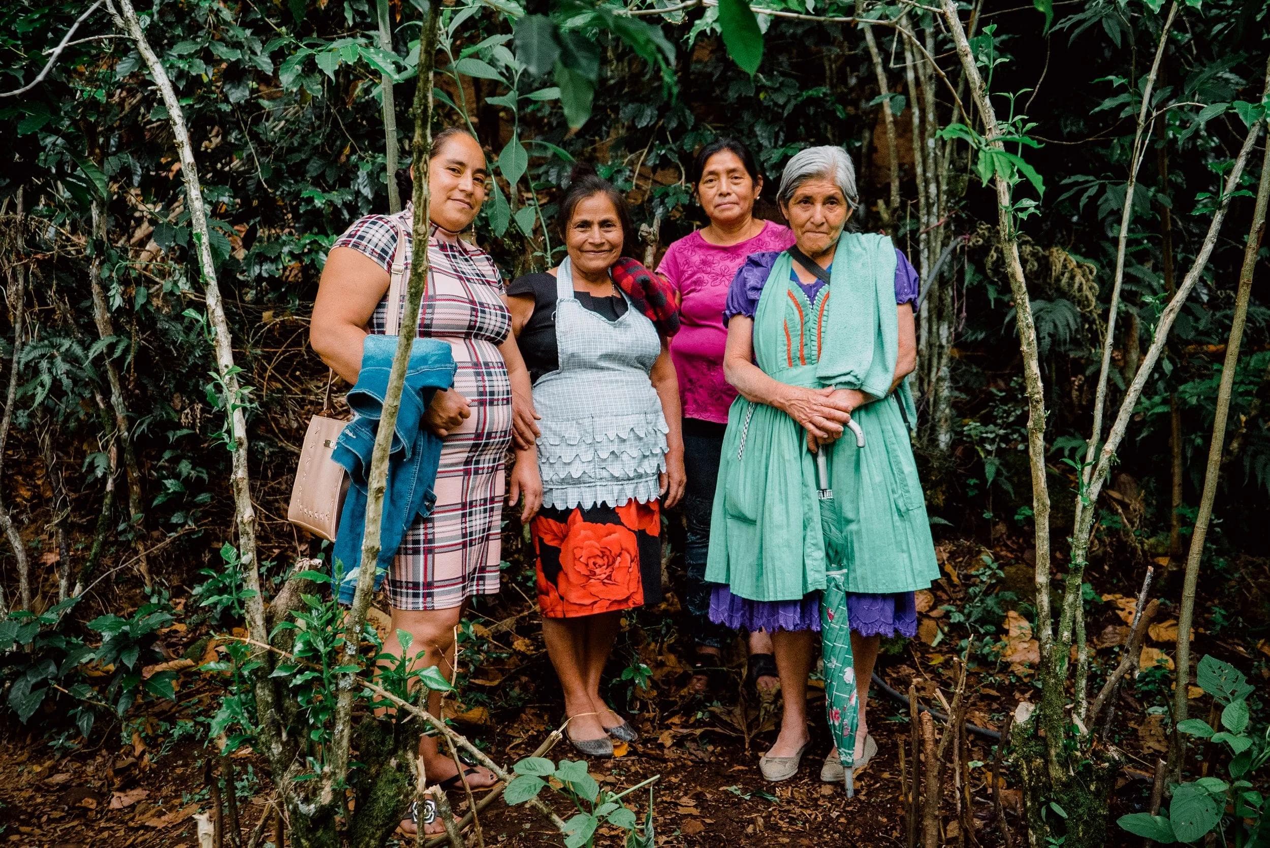 Coffee farming partners at origin